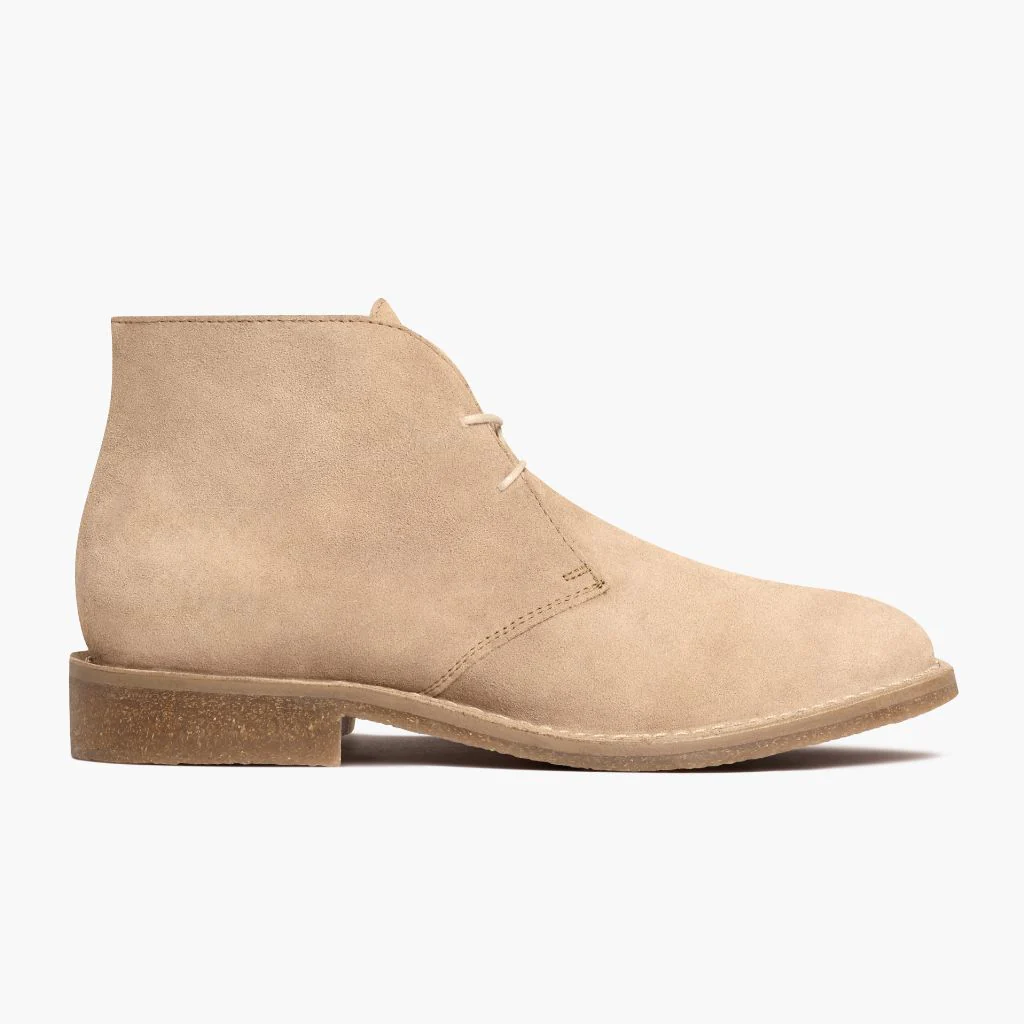 Scout | Dune - Image 2